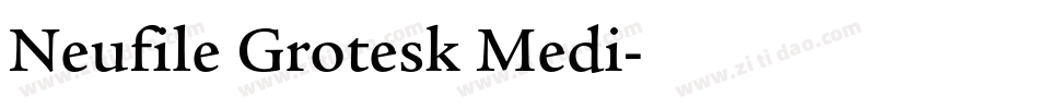 Neufile Grotesk Medi字体转换